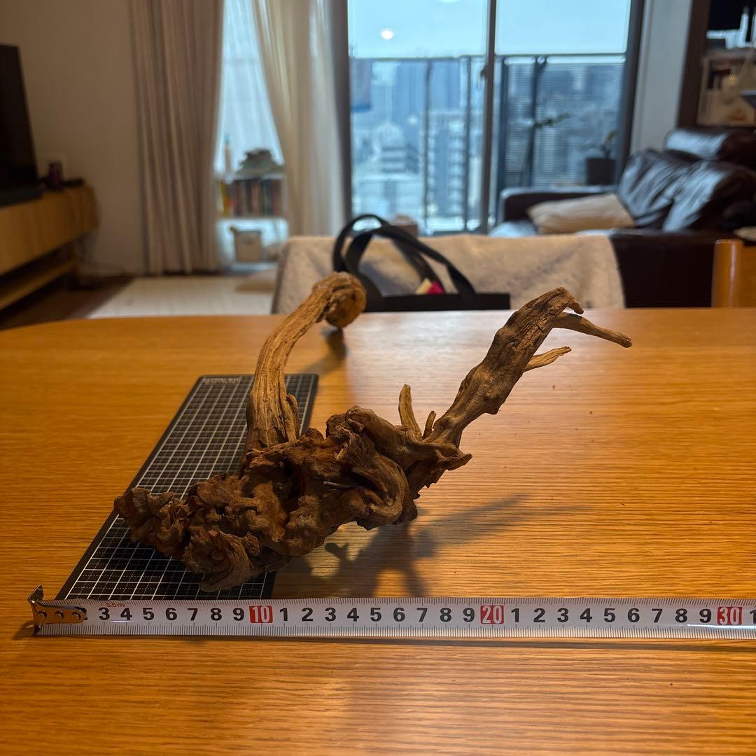 【早い者勝ち】ADA流木　5本（まとめ買い500円引）