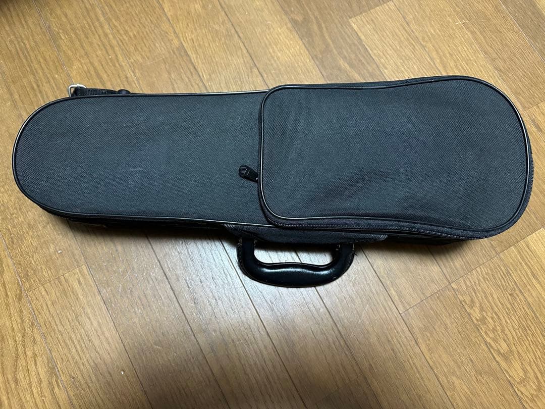 分数バイオリン1/10 カルロジョルダーノ