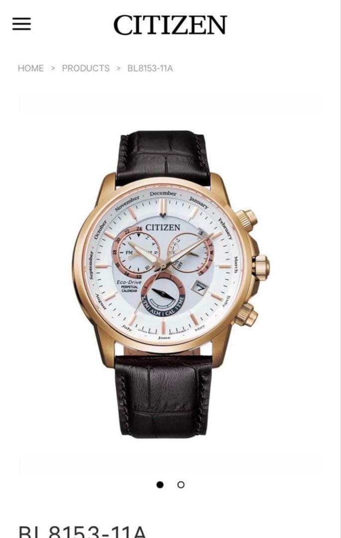 【海外限定】CITIZEN Eco-Drive クロノグラフ