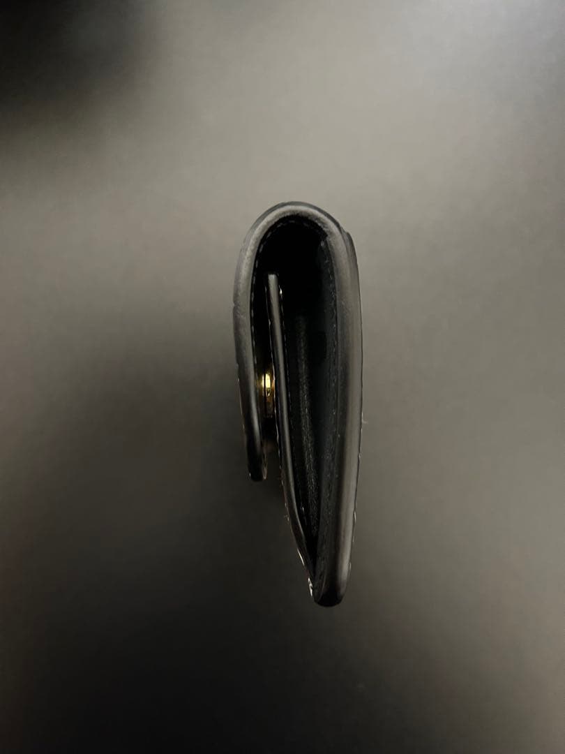 ワイルドスワンズ タング ヒマラヤクロコ 未使用