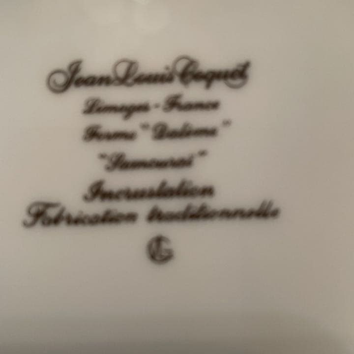 ［お値下げ］大皿31cmジャンルイコケ　 婦人画報1月号に掲載