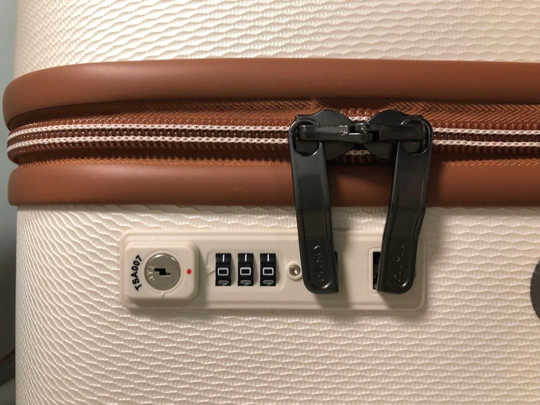 デルセー スーツケース キャリーケース 1676810 69L