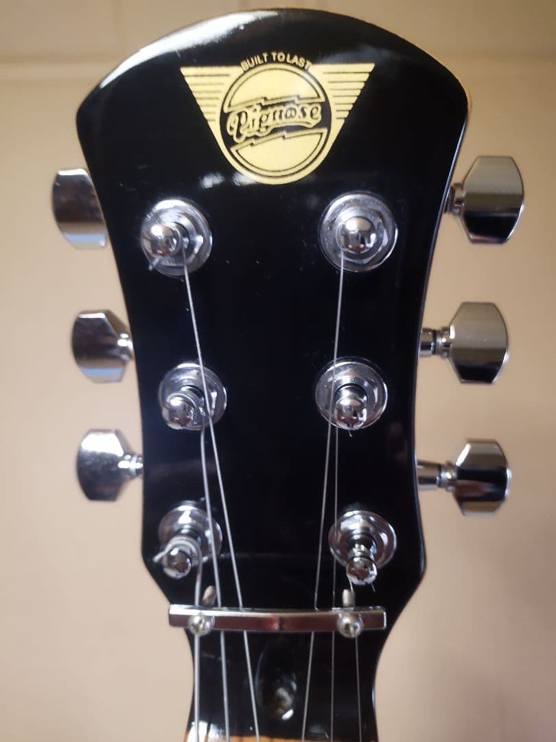 Pignose 小型エレキギター ギターケース付き