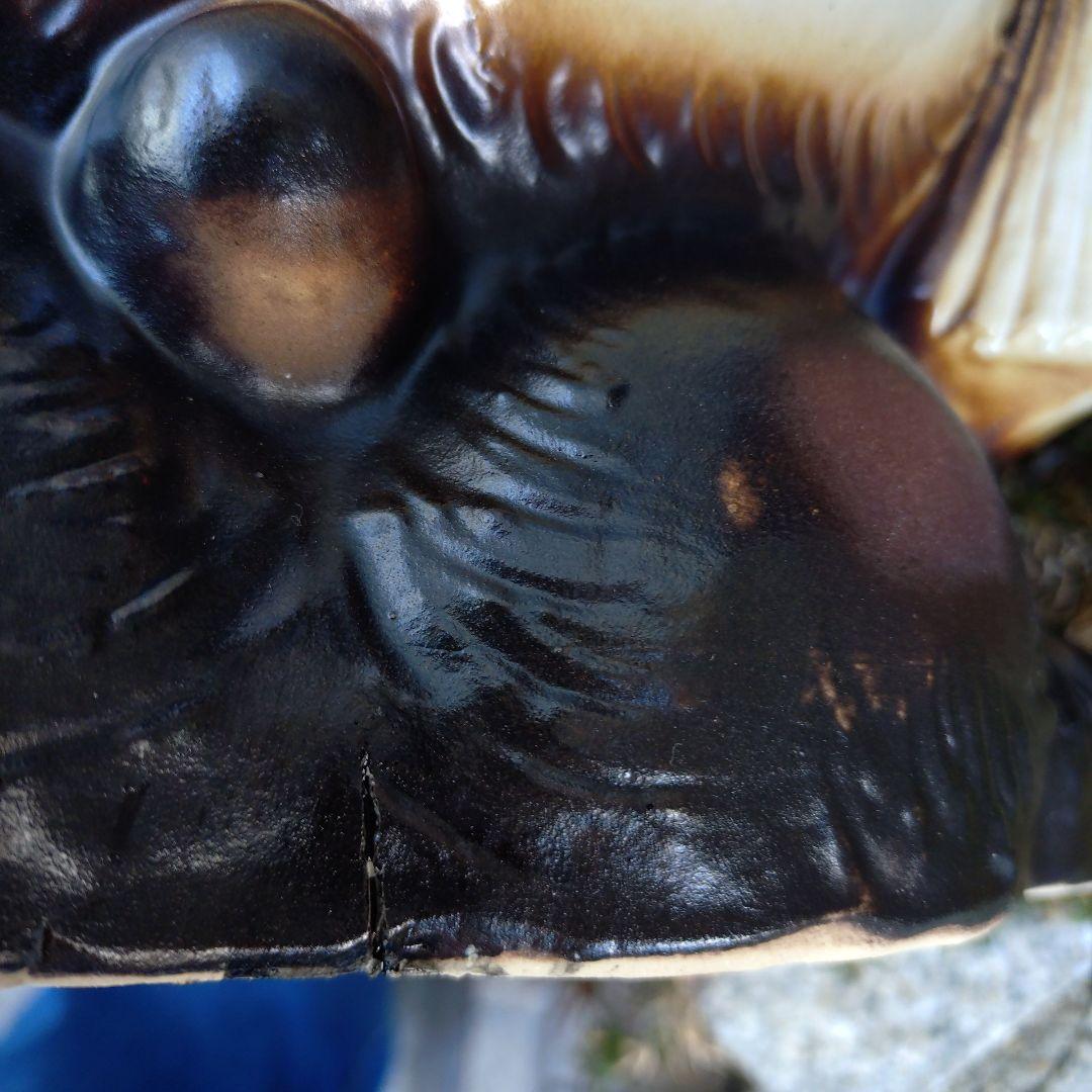 信楽焼　43cm13号フクロウ付き開運狸　タヌキ　狸　たぬき