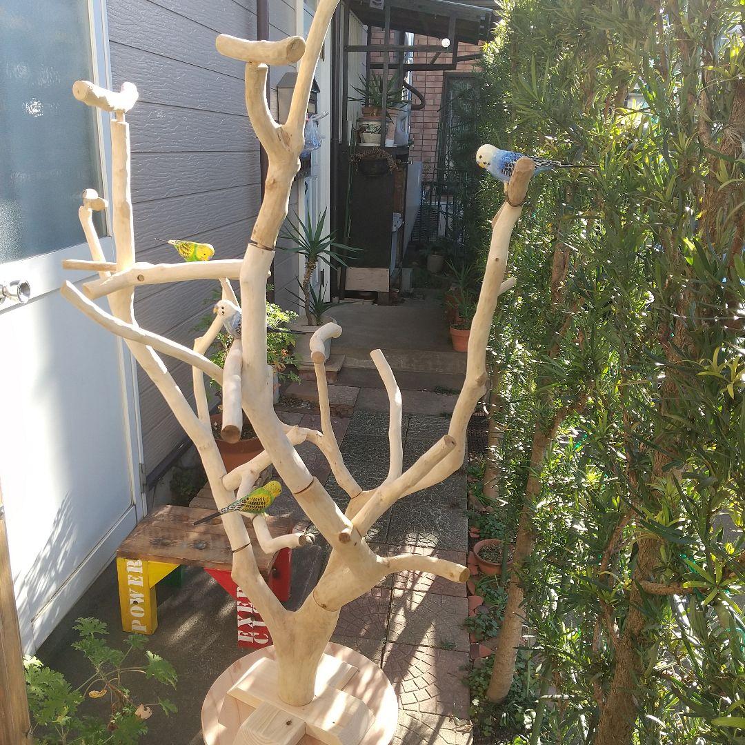 インコバードアスレチックジム楽園シリーズ④キャスター付