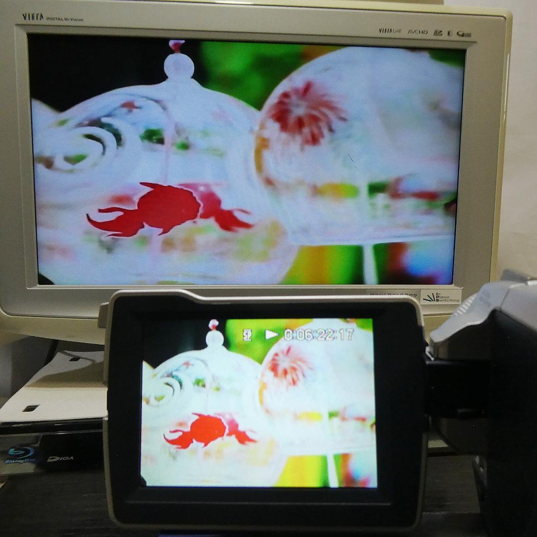 美品・動作品 ソニー DCR-TRV27 MiniDV ビデオカメラ DVD化に