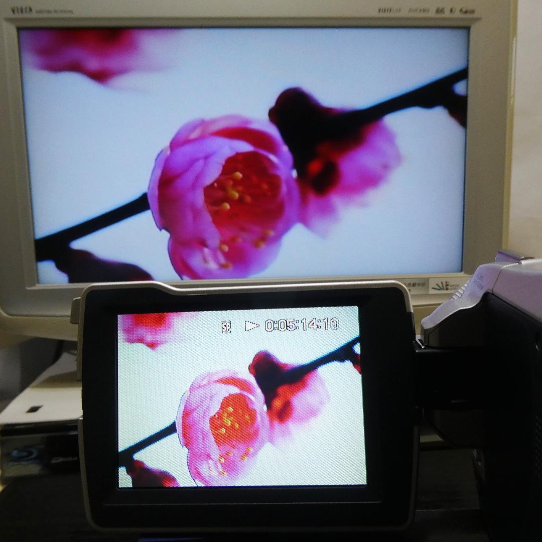 美品・動作品 ソニー DCR-TRV27 MiniDV ビデオカメラ DVD化に