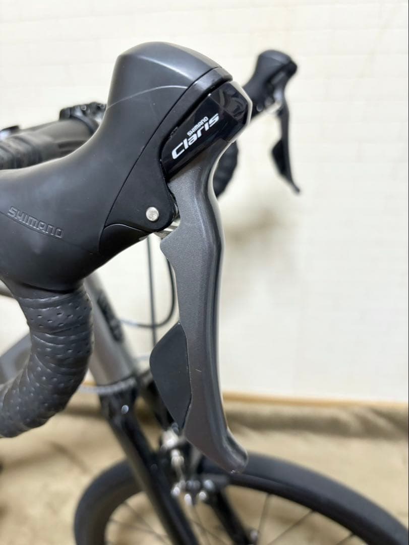 ミニベロロードバイク　turn surge ターンサージュ フェージングメタル