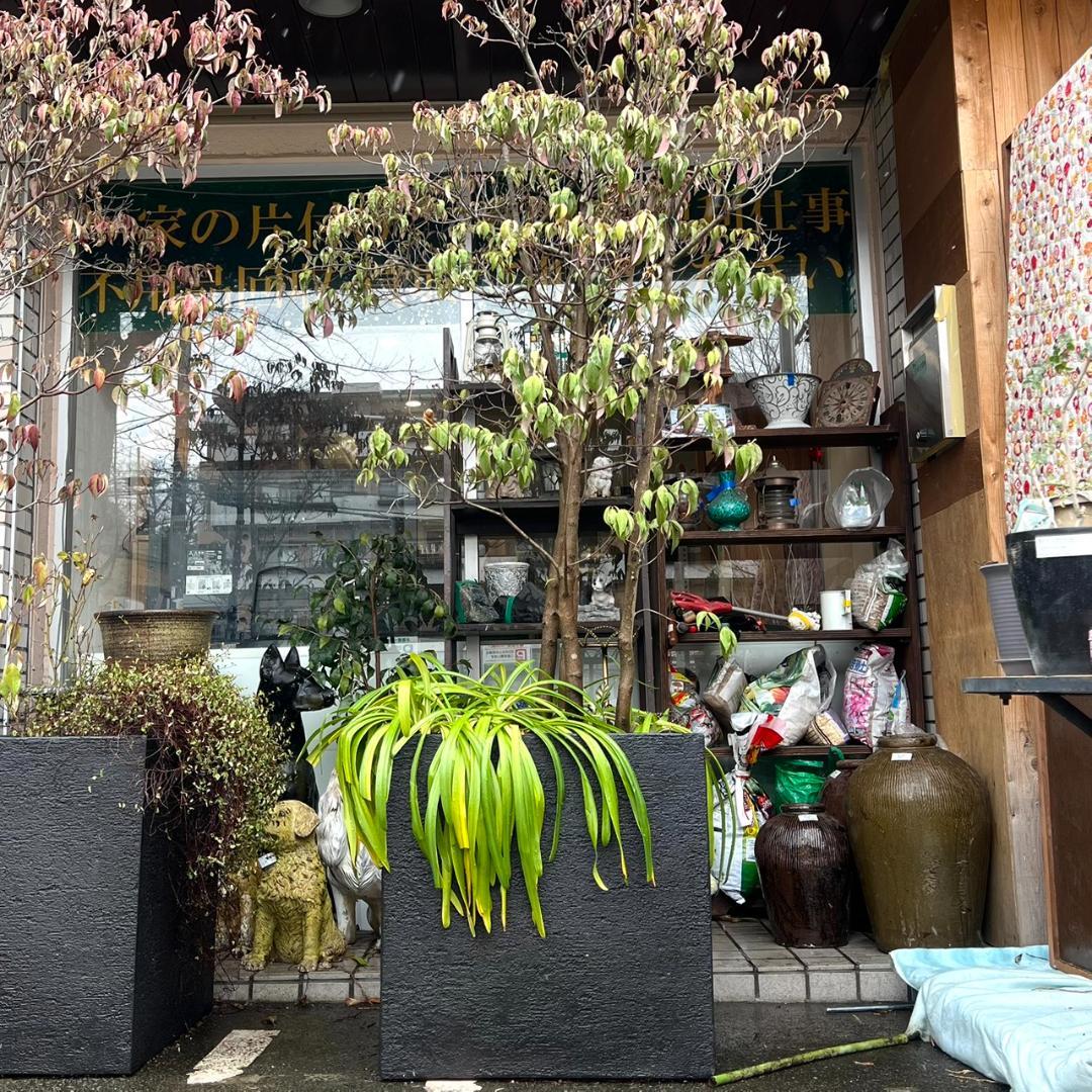 i＊特価セール！【 プランター 植木鉢 キューブ グレー ガーデニング 】