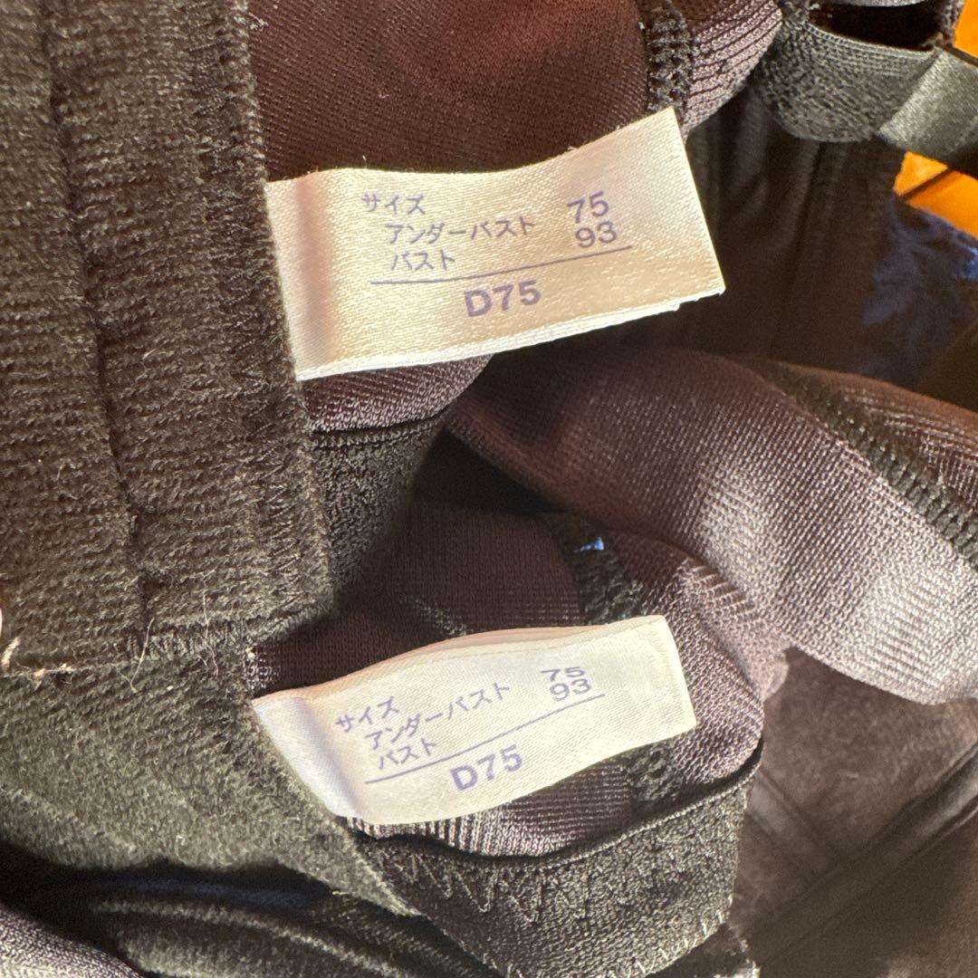 マルコ　D75 青と黒　2枚