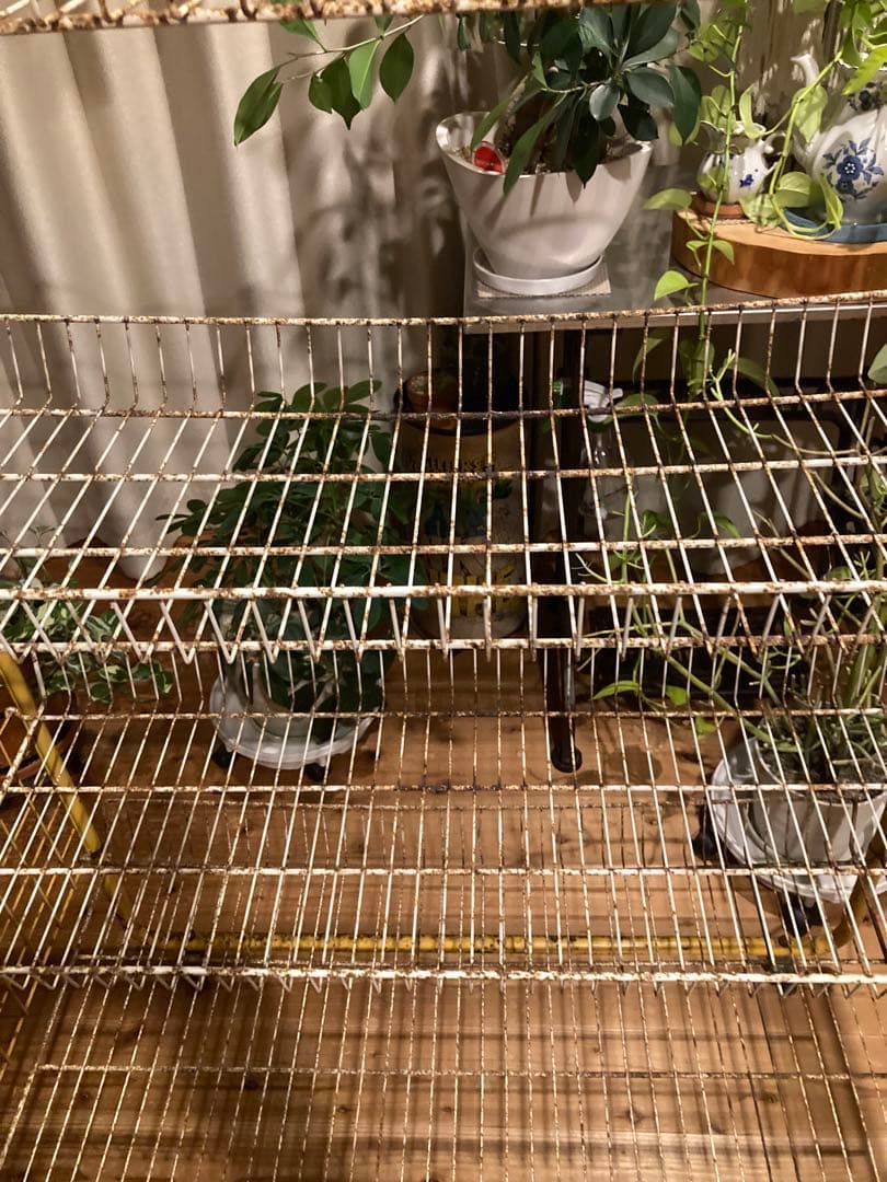 昭和レトロ　ワイヤーラック4段仕様　店舗什器　ガーデニング　シャビーラック11