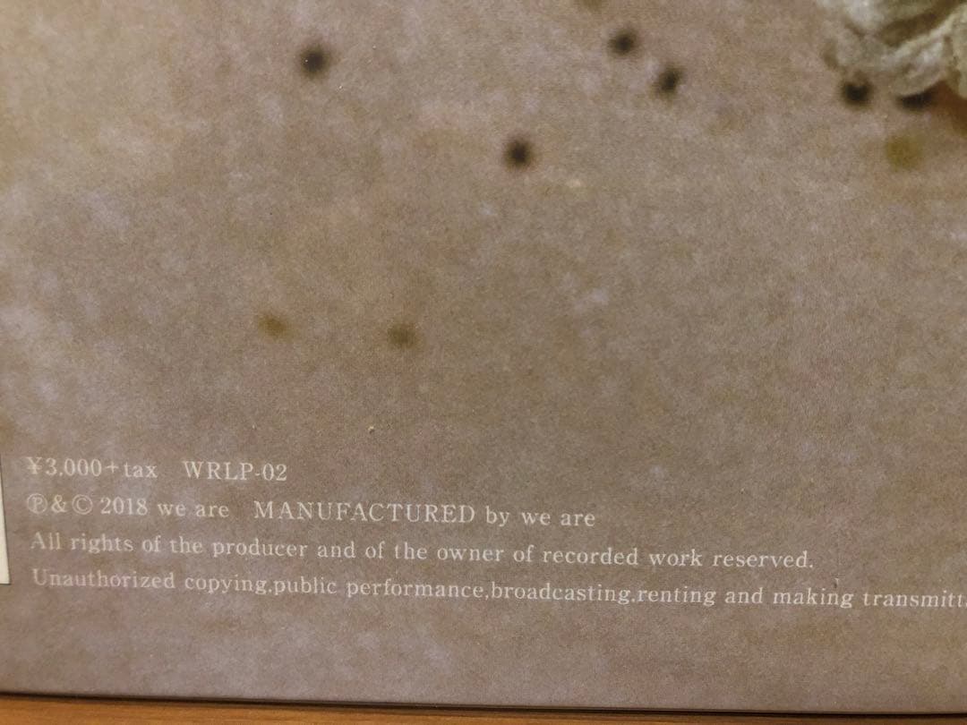 【新品未開封】カネコアヤノ『祝祭、燦々』レコード 1stプレス2枚セット