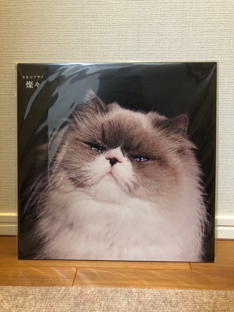 【新品未開封】カネコアヤノ『祝祭、燦々』レコード 1stプレス2枚セット