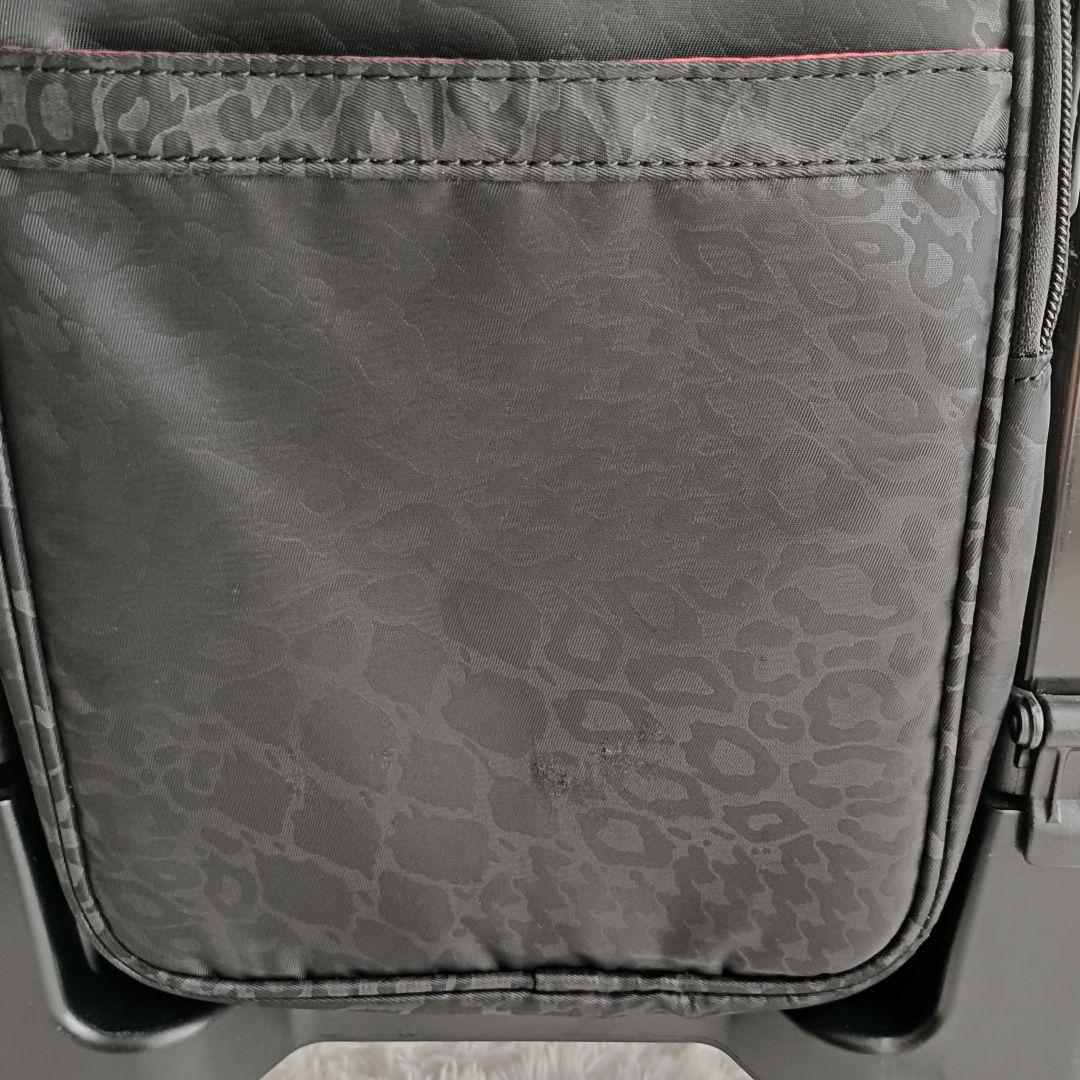 良品　SWANY スワニー　キャリーカート　キャリーバッグ　ショッピングカート