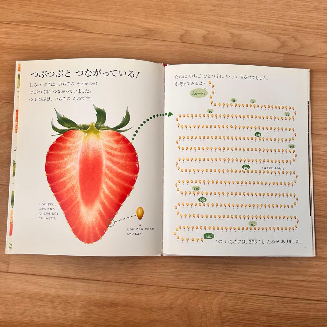 【2年分 まとめ売り】しぜん フレーベル館 キンダーブック