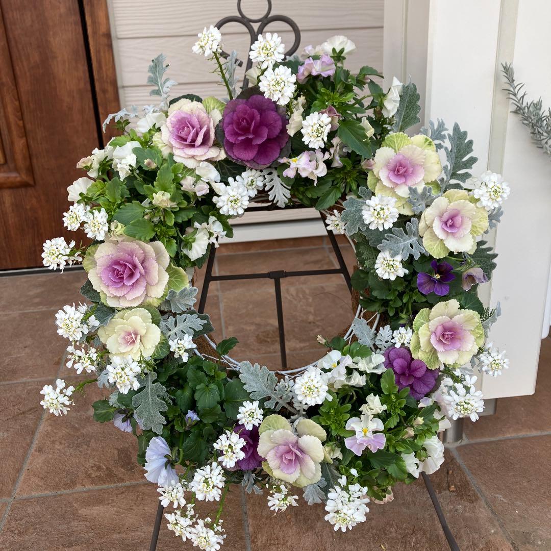 【寄せ植え】葉牡丹ビオライベリスのクラシカルリース