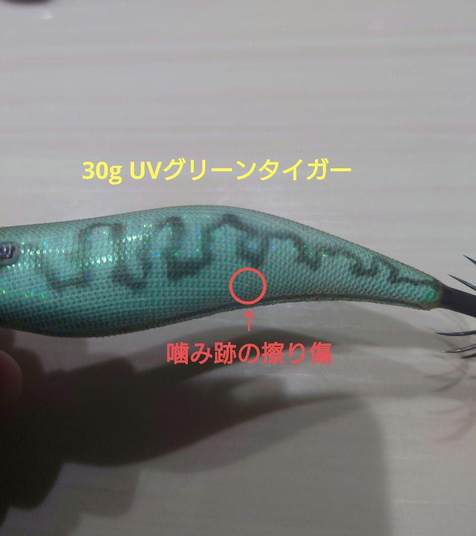 エギリー・ダートマックスTR 40g&30g 5本セット