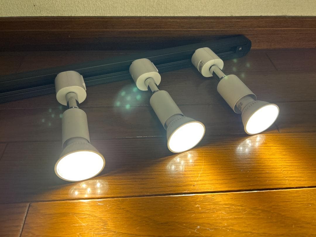 LED スポット ライト 10点セット 電球付き ダクト ライティング レール