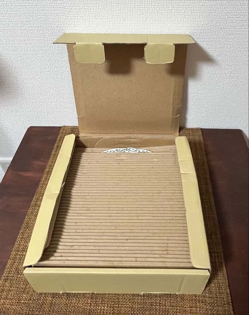 【新品未使用品】ノリタケ　ロイヤルオーチャード　5枚セット（日本製、24センチ）