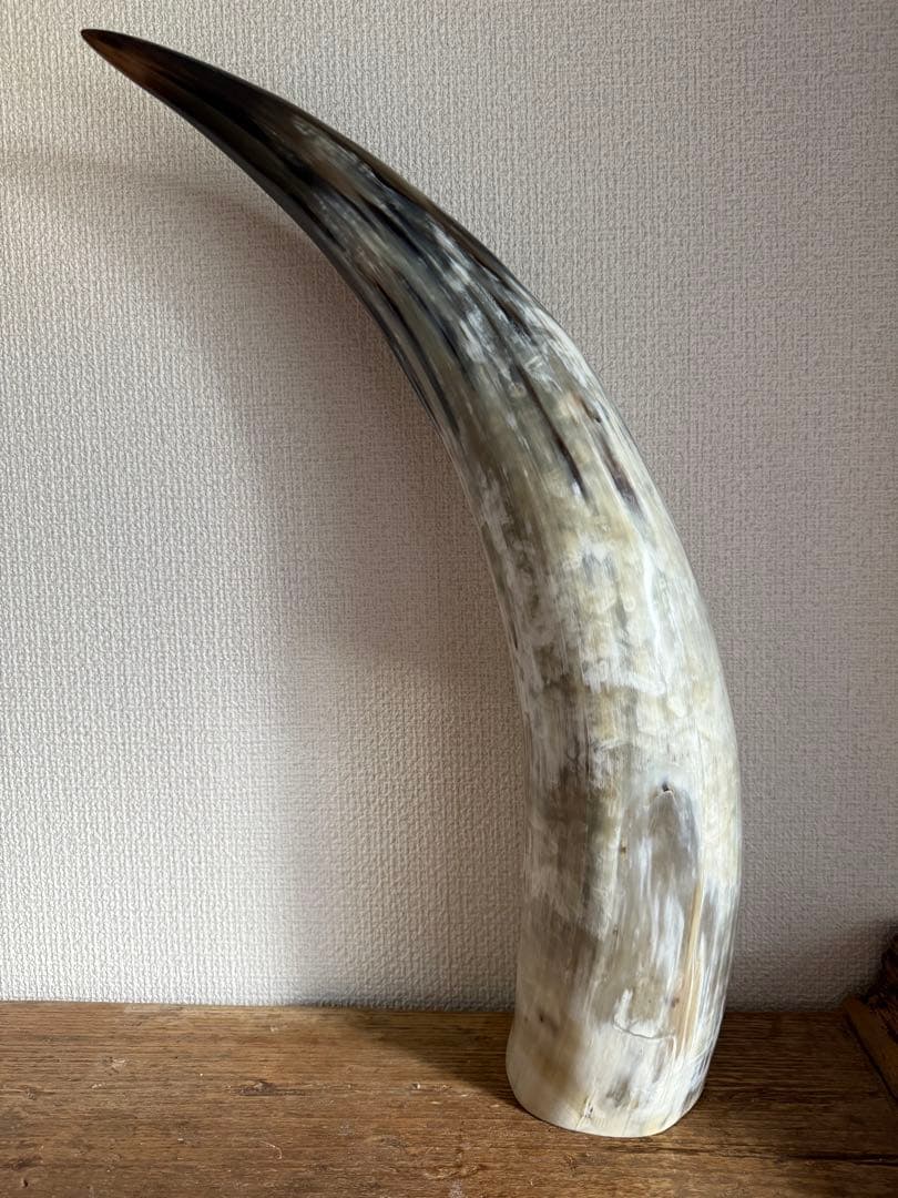 水牛の角　インテリアオブジェ/ ZIYA KENYA (ジヤ ケニア)新品