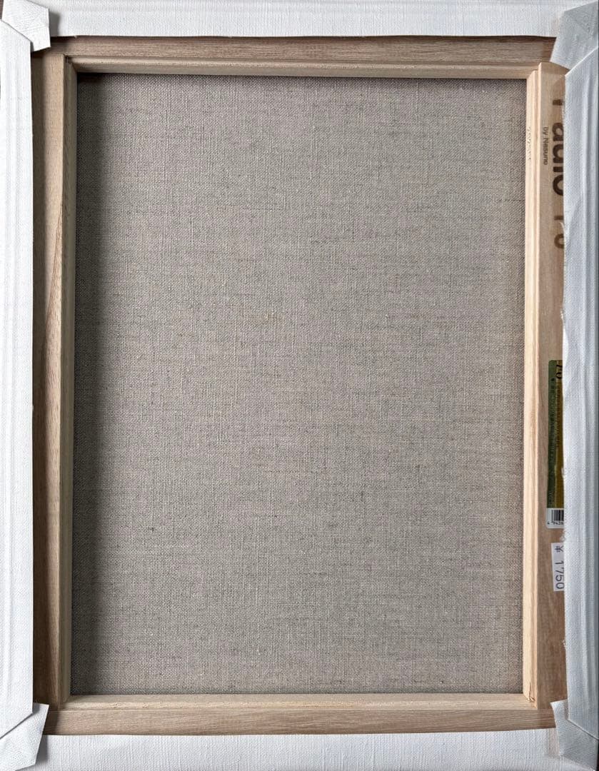 【456】スプレーアート　宇宙　彗星　惑星　オーロラ　F6サイズ　キャンバス　星