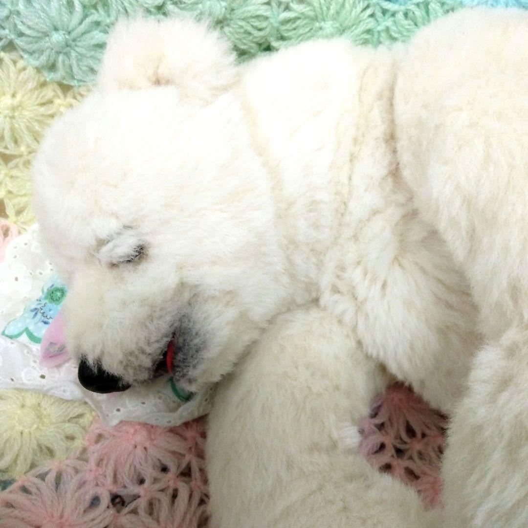 うずら❤作家❤ぬいぐるみ　アートドール　テディベア　アーティストベア