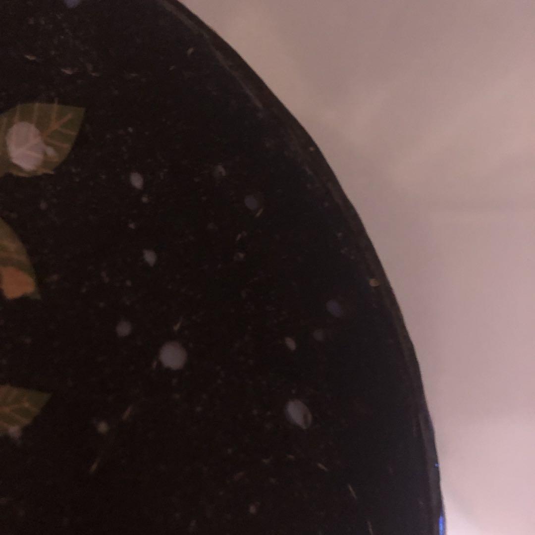 カケ1 チップ3 鹿児島陸　ネコ　椿　皿