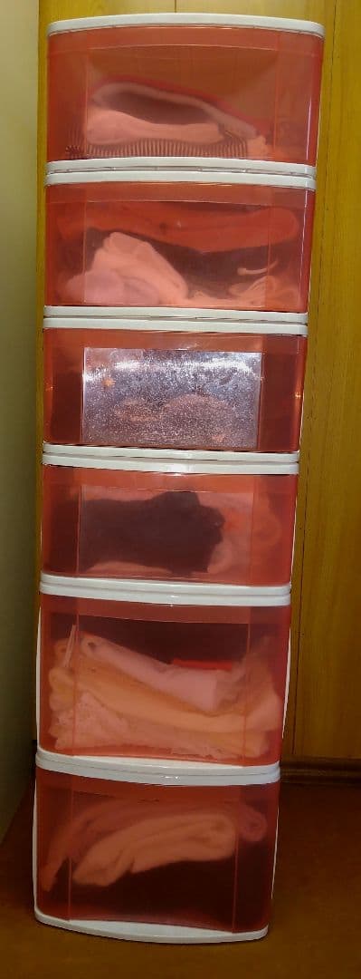 アイリスオーヤマ重ねて整理できるよ