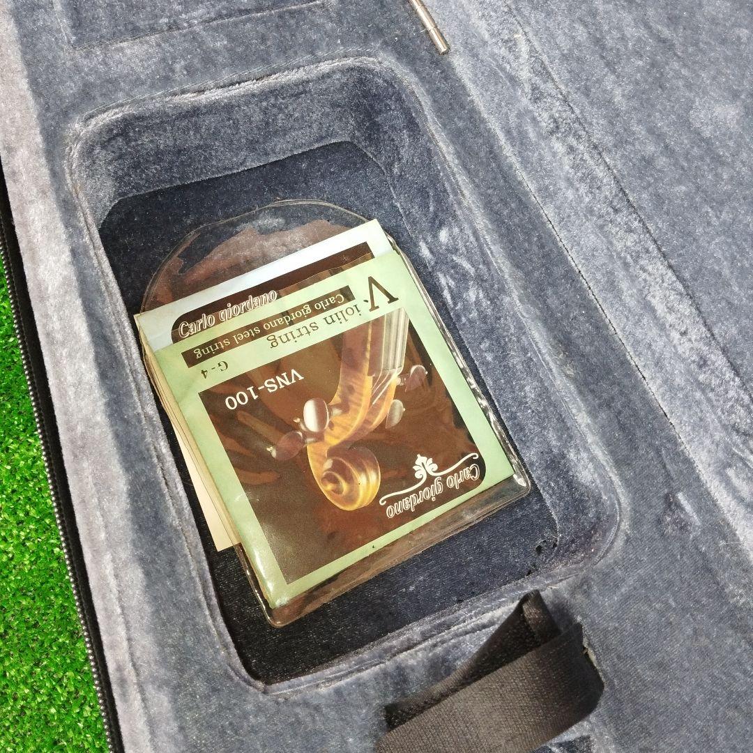 カルロ・ジョルダーノ　電子ヴァイオリン　CV-210E エレキバイオリン