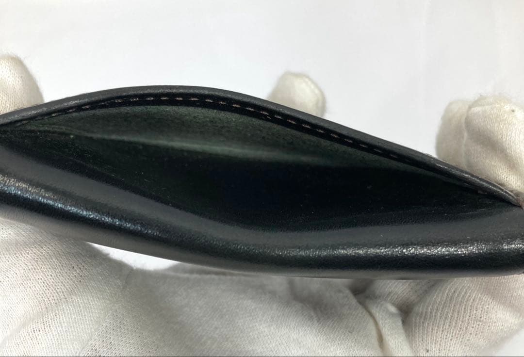 295N9レ ワイルドスワンズ タング ブラック ケース