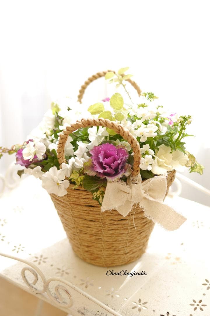 寄せ植え　アレンジメント バスケット　ガーデニング　花　パンジー　ビオラ