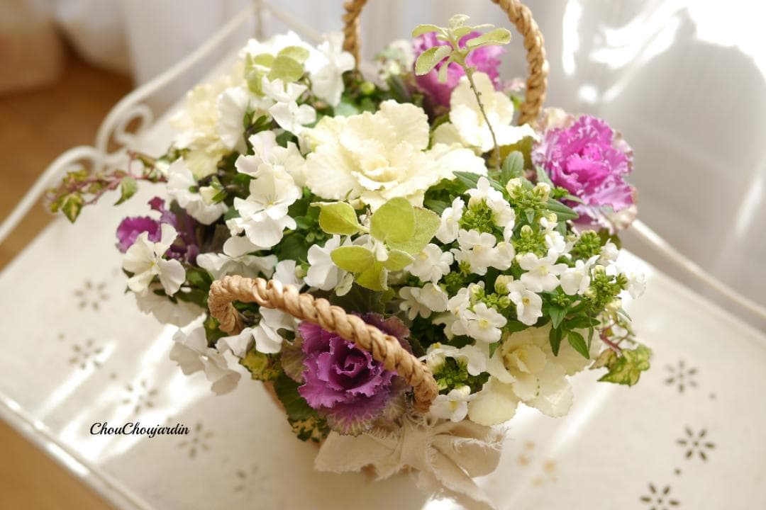 寄せ植え　アレンジメント バスケット　ガーデニング　花　パンジー　ビオラ