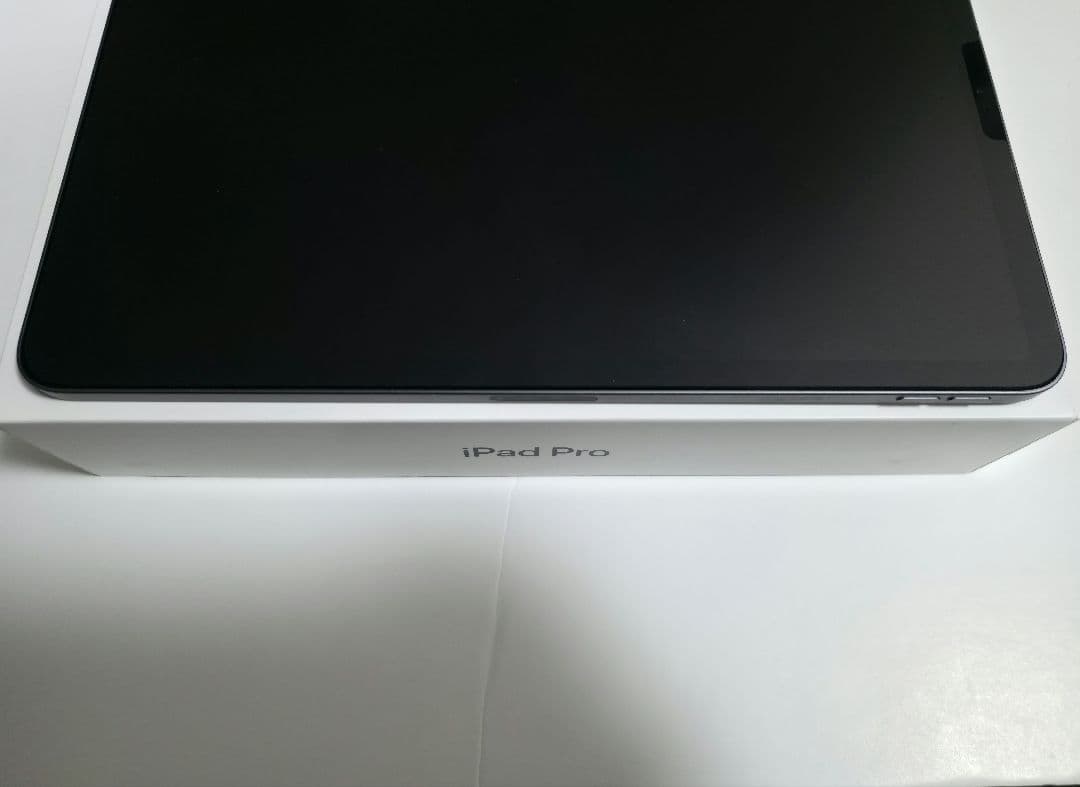 iPad Pro 11インチ 第1世代　256GB