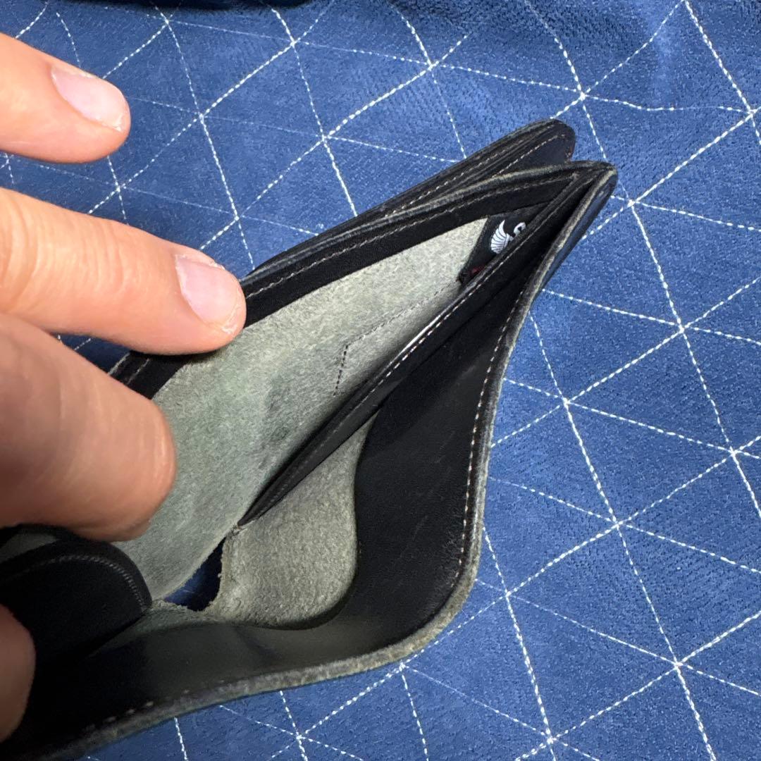 ワイルドスワンズフリッカー2