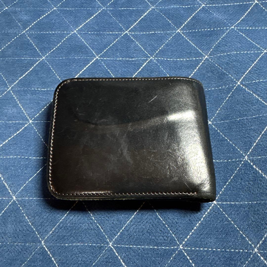 ワイルドスワンズフリッカー2