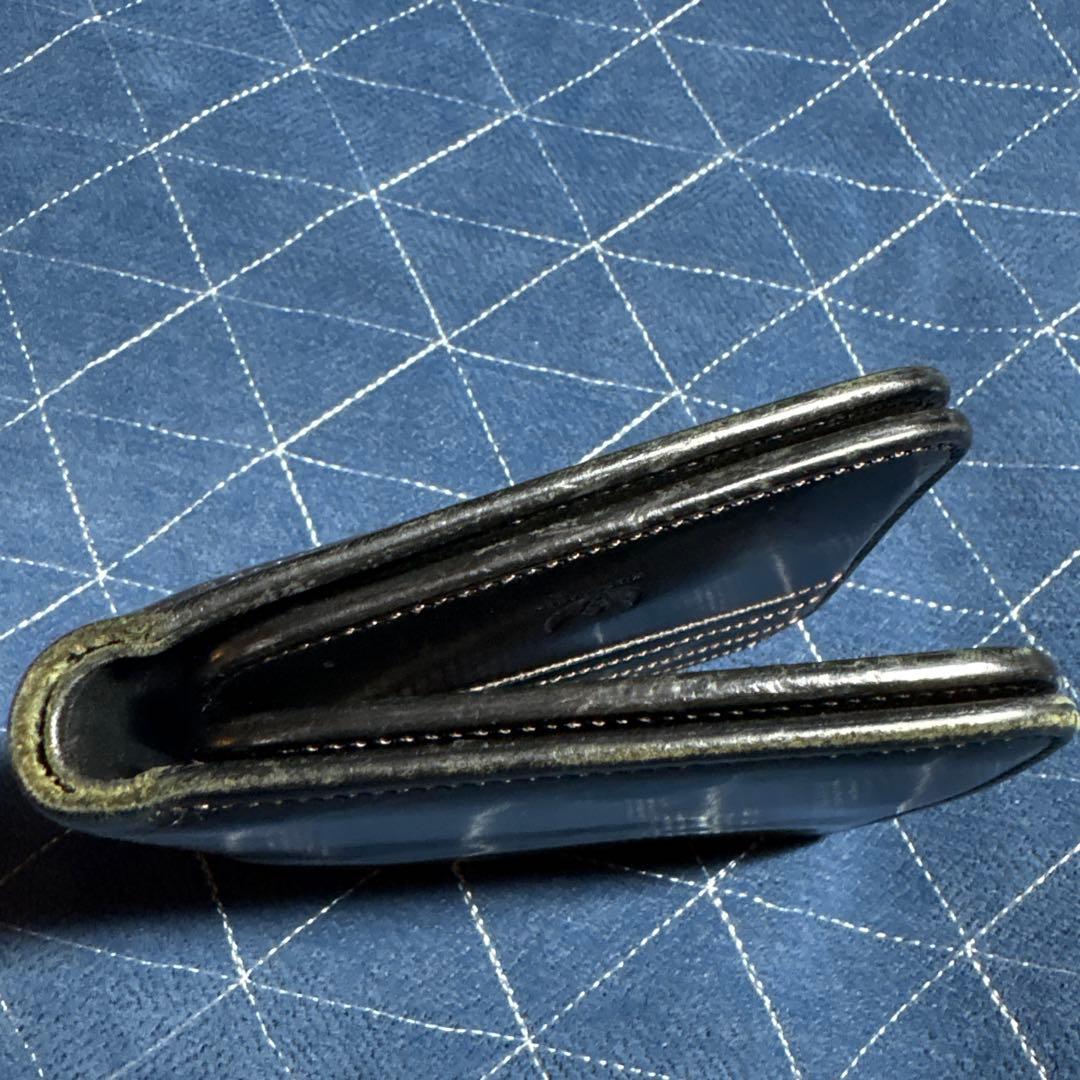 ワイルドスワンズフリッカー2