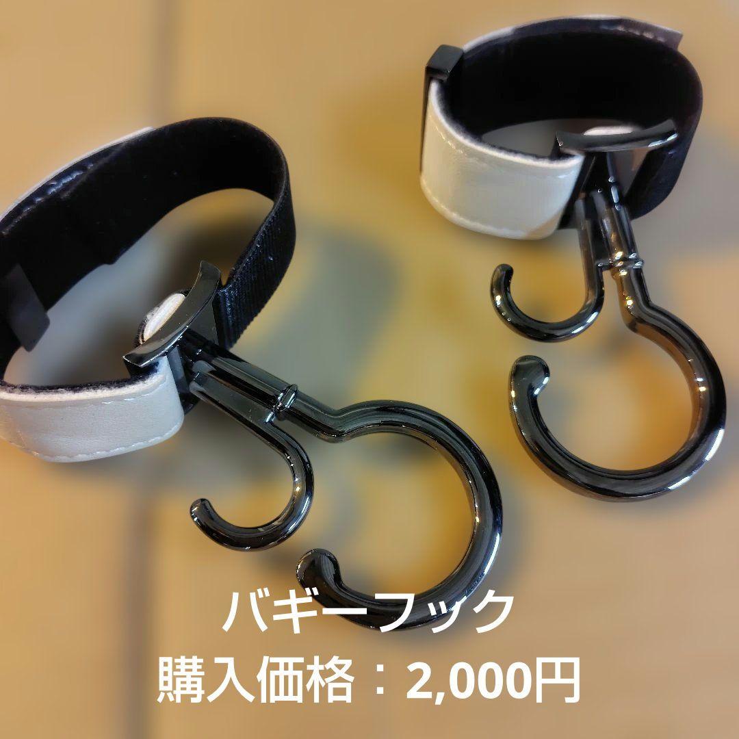 エアバギー ココ ブレーキ EX フロムバース　AirBuggy ブラック