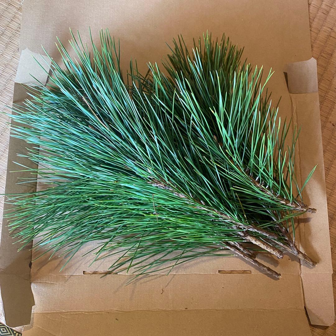 松　みかん箱3箱ぱんぱんに詰めます　40cm前後目安　しめ縄　正月飾り　門松