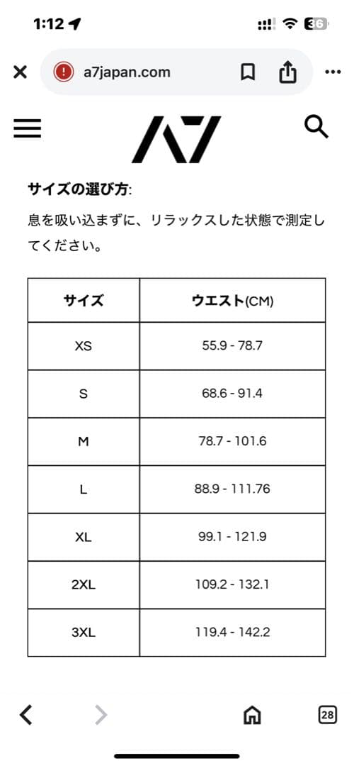 【美品】A7 PAL レバーベルト　10mm Mサイズ