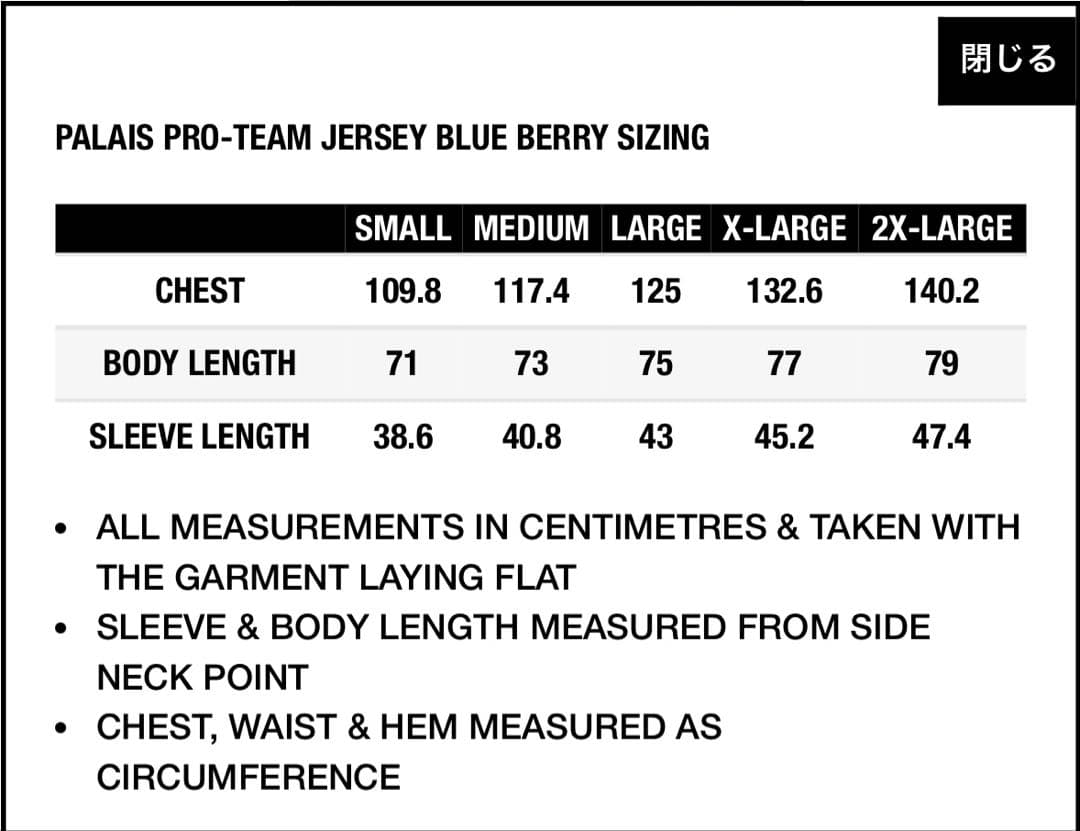 PALACE Palais Pro Team Jersey 即日発送！