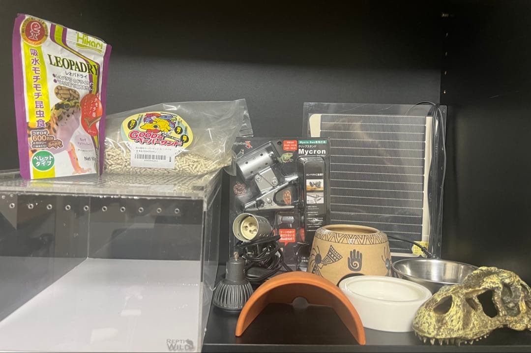 爬虫類飼育スターターセット