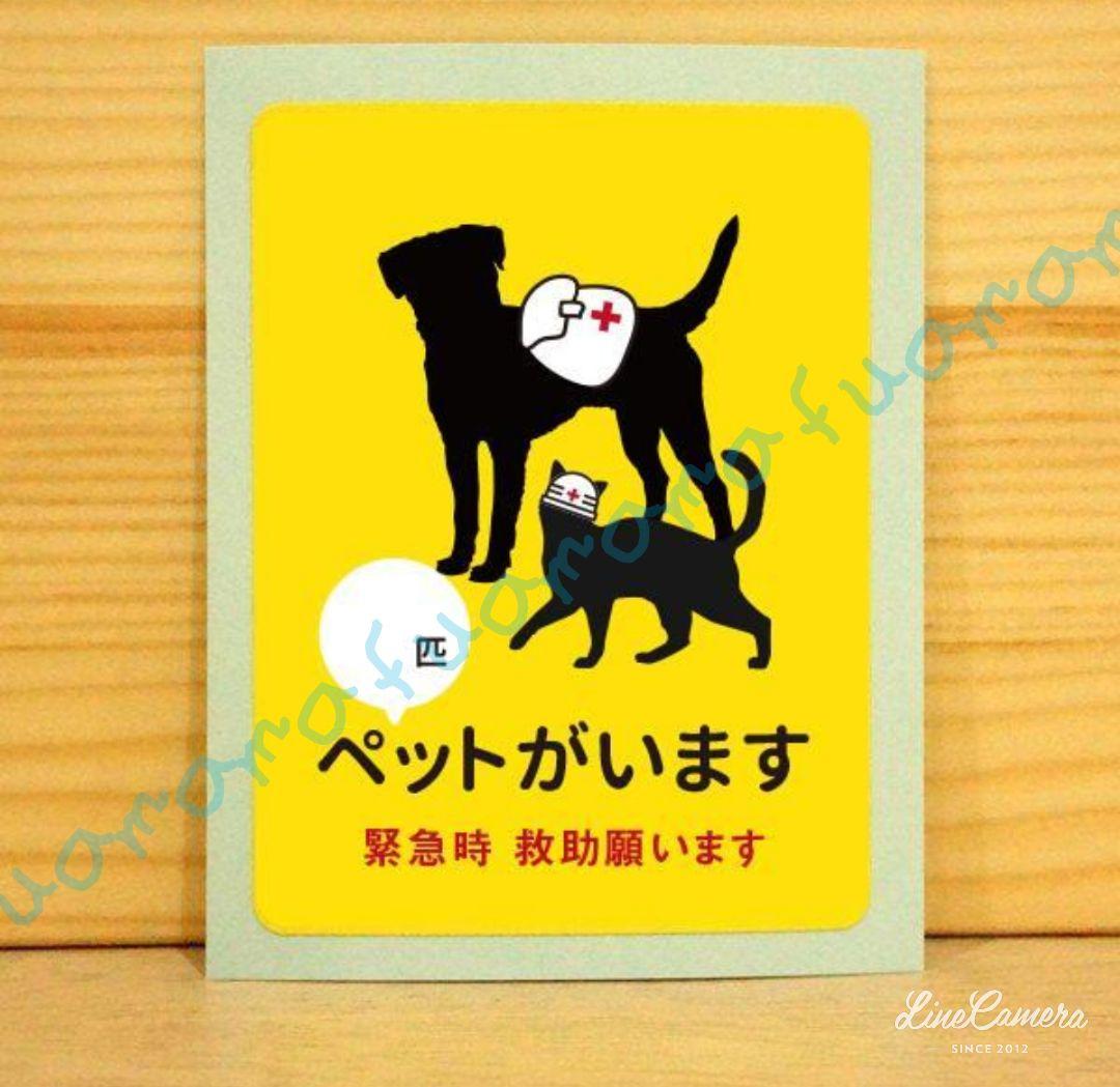 チェビオット様