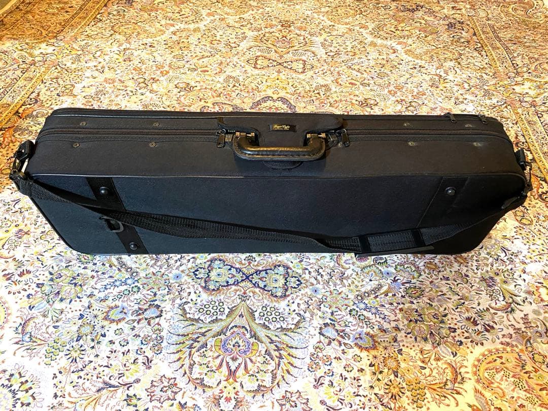 お値下げ中⭐︎ピグマリウス デリウス アドバンス 4/4