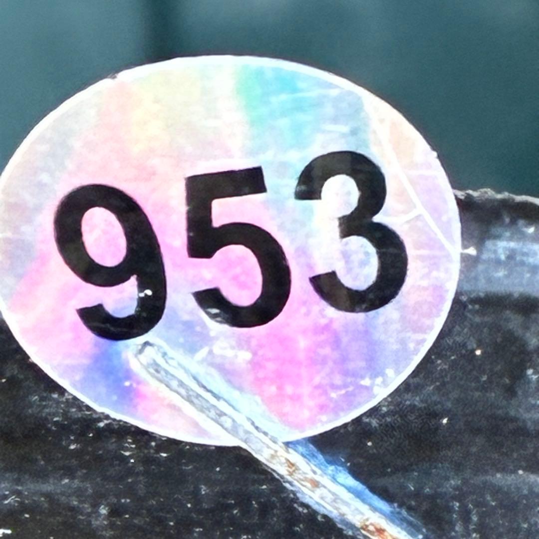 の*ん様 ☘️超レア☘️❤️開花株❤️根充実❤️新芽❤️953⭐️レア⭐️【ヘル