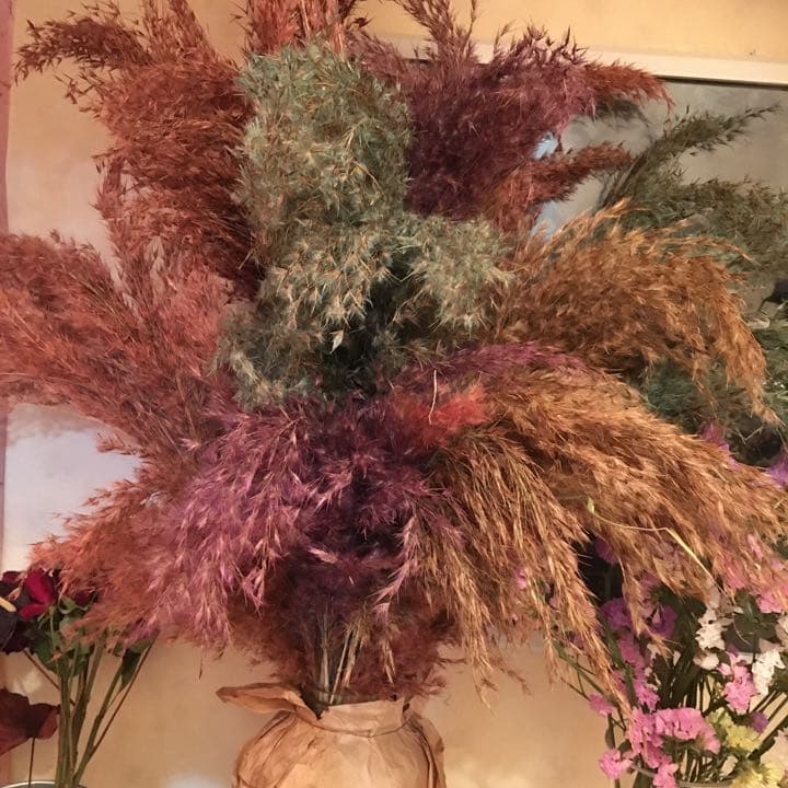 ❀✿もふもふ　5色ドライフラワー  インテリア