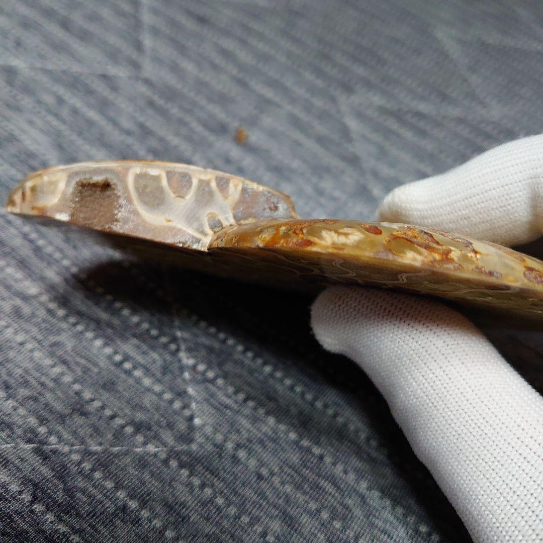 アンモナイト化石　ハーフカット　ペア　マダガスカル