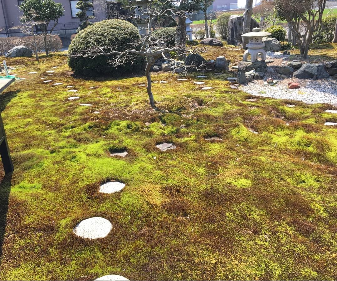 日本庭園用 天然石 飛び石・踏み石 約105枚 円形・乱形【石川県引き取り限定】