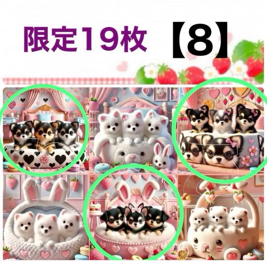 y꙳★*゜購入前に一言お願いします！