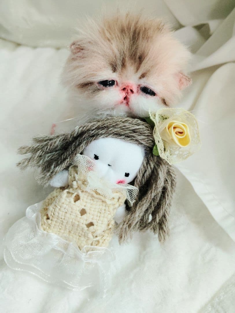 あちゃん様御予約❤ミーナちゃんと♡生後10日♡うるうるオメメの子猫ちゃん♡