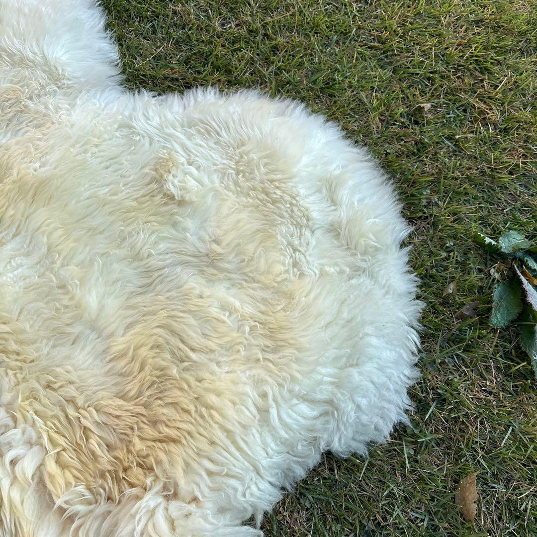 C*t様 羊毛ラグ 長毛　ムートン 大きな ニュージーランドBowron ボーロ